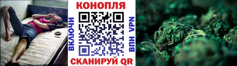 Бошки марихуана гибрид  Купить закладки  Константиновск 